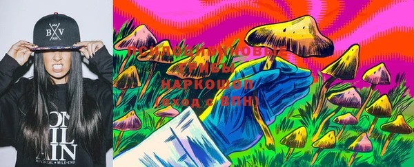 дмт Нефтегорск