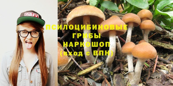эйфоретик Нея