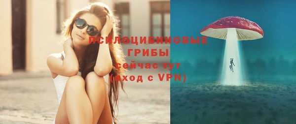 дживик Новокубанск