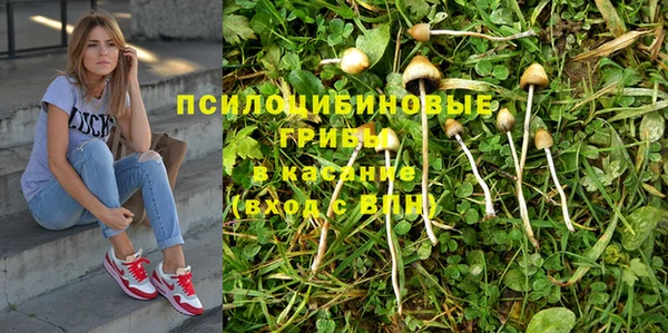 дмт Нефтегорск