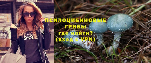 наркотики Новозыбков