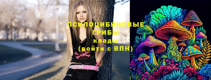 Псилоцибиновые грибы GOLDEN TEACHER  omg ONION  Белогорск 