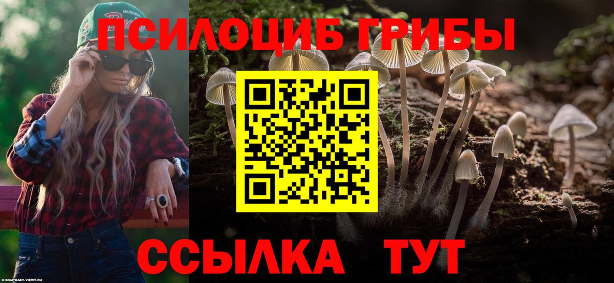 Галлюциногенные грибы мицелий Белогорск
