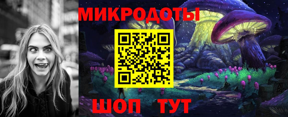 Псилоцибиновые грибы Psilocybe  Вход с VPN  Белогорск 